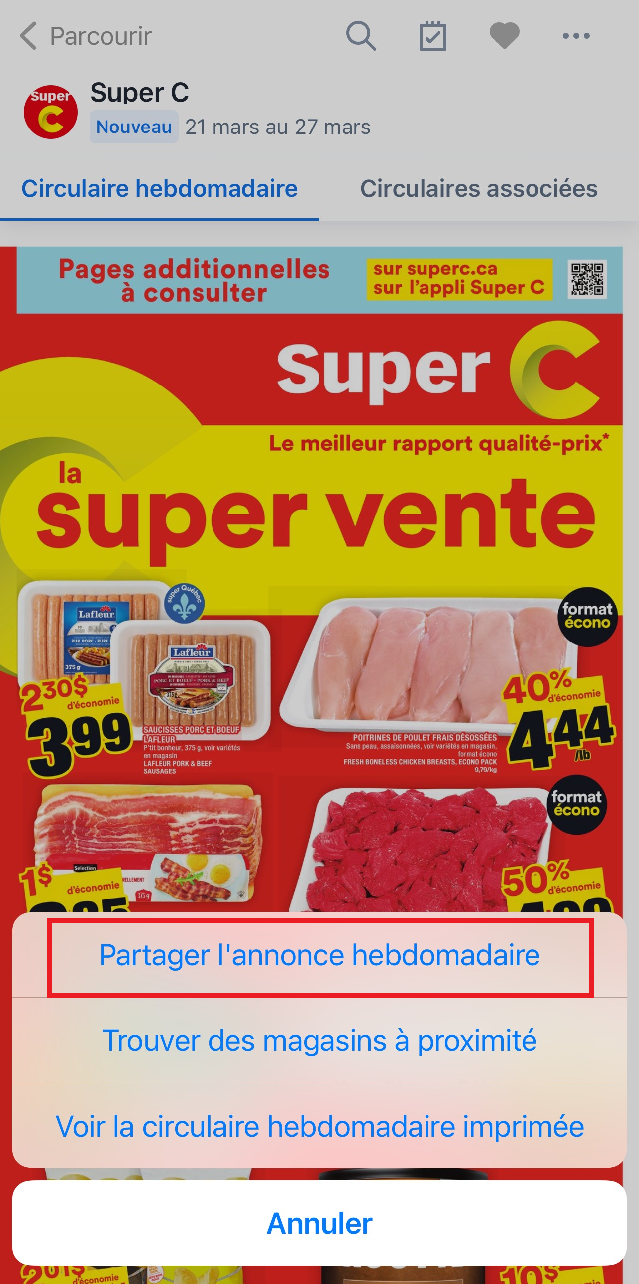 image_123650291 (5).png